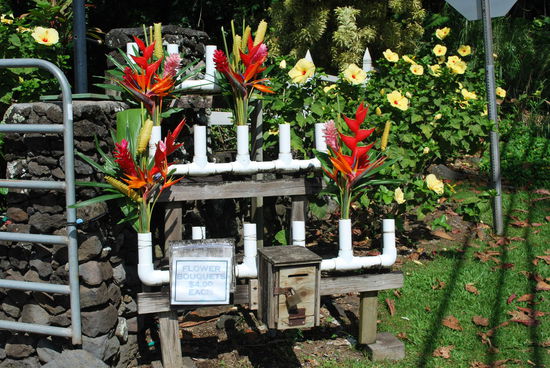 Die Blumenfarm mit ihren hausgemachten Gestecken