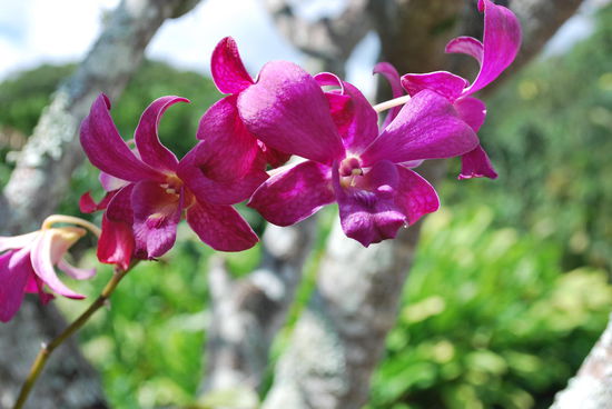 Wirklich super Tag, heute, aber ich bin platt. Abendessen ? Mc Donald´s im Whaler´s village, ich schaff´ nichts anderes mehr. Aber morgen ist ein hang-loose-Tag !