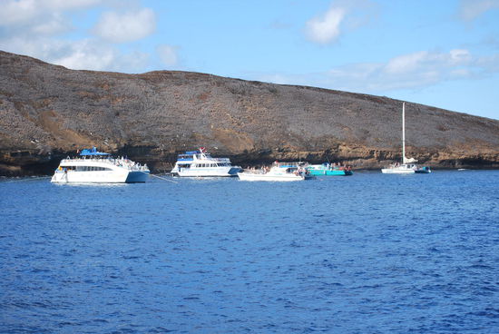 Wir sind keineswegs alleine hier !