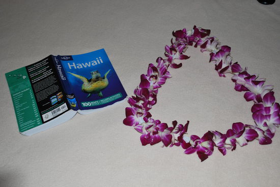 Von meinem langsam verwelkenden Lei muss ich mich nun verabschieden...