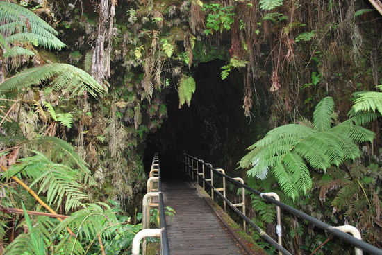 Eingang zur Lava-tube