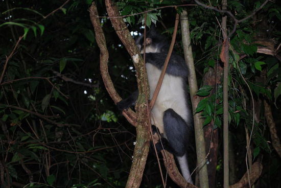 Und wir haben noch einmal Glück !