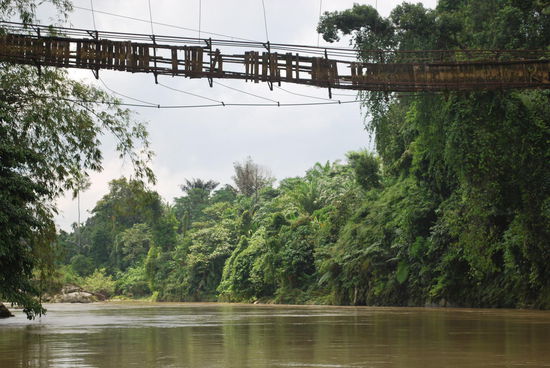 Indiana Jones lebt wirklich und so eine Hängebrücke kann er sogar mit einem Moped überqueren - ich hab´s gesehen !