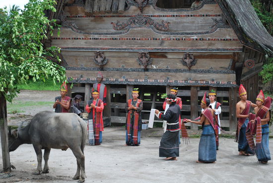 Die Tänze sind nicht sehr action-reich, es ist mehr so ein Umhertraben mit mal einem Schal, mal einer Schale Reis, mal einer Schale Wasser, das mit einem Zweig versprüht wird. Die Mienen der Tänzer sind gelangweilt bis genervt, wie ich finde. Ich wäre allerdings auch genervt, wenn ich das 2-Mal täglich machen müsste..