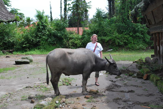 Ein weiteres Bild aus meiner geliebten Fotosammlung namens "die Kuh und ich"...