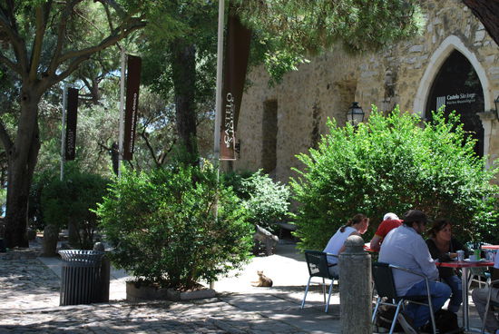 Café im Castelo. Kein einziges Café in Lissabon habe ich gesehen, dass nicht gut besucht, wenn nicht sogar bis auf den letzten Platz besetzt gewesen wäre. Bei den hier sehr moderaten Preisen, dem schönen Wetter und der irgendwie überall bildhübschen Umgebung auch kein Wunder !
