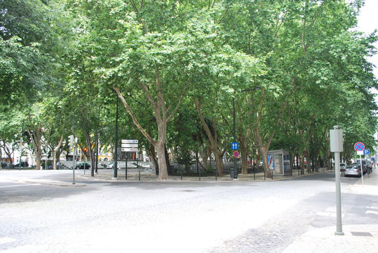 Unter diesen riesigen 2 (!) Grünstreifen der Avenida befinden sich kleine Parks, Denkmäler und Cafés. Echt schön.