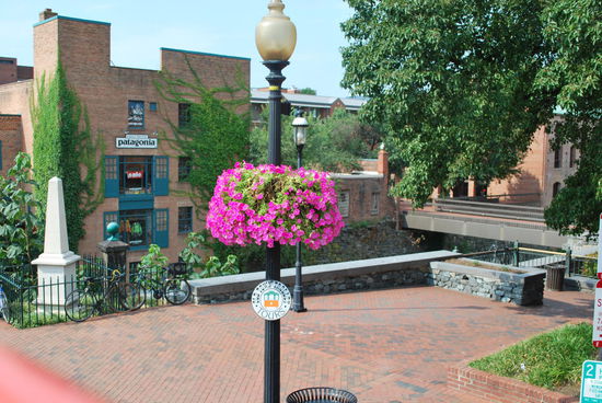 Blumenschmuck im wunderschönen Georgetown