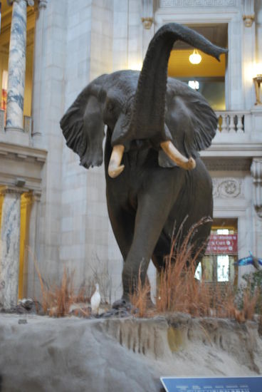 Sieht sehr echt aus !