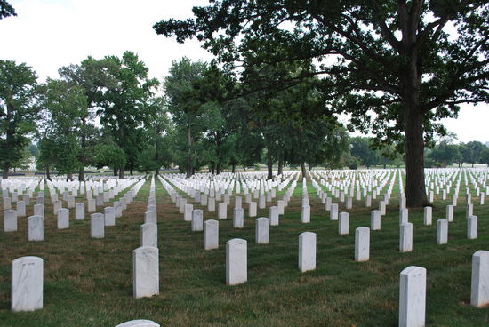 Der zweitgrösste Friedhof der USA mit ca. 260.000 Gräbern. Eine endlose Fläche mit identischen weissen Marmorsteinen - sieht aus, wie ein gigantisches Dominospiel