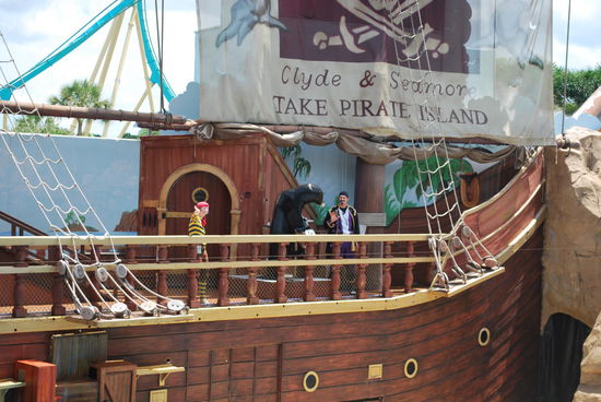 grandiose show mit einem Seelöwen und einem Seehund