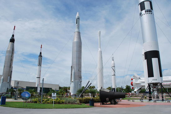 Rocket garden