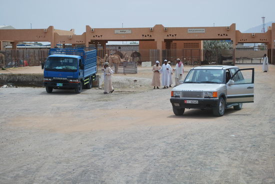Kein Mensch braucht mehr wirklich Dromedare/Kamele, aber als Statussymbol und/oder Hobby werden sie trotzdem gehalten. Das Fleisch wird natürlich auch noch gegessen und die Milch getrunken...
