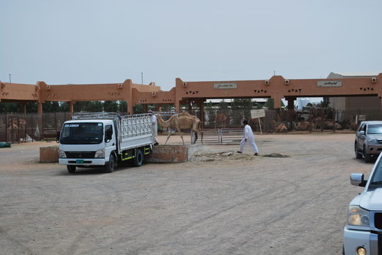 Leider habe ich vergessen, zu fragen, was ein Tier denn so kostet...