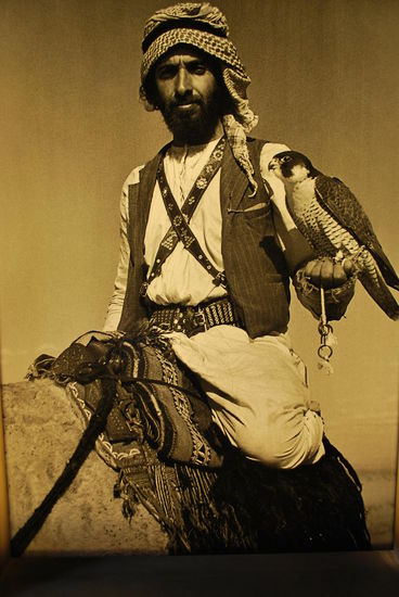 Sir Wilfred Thesiger