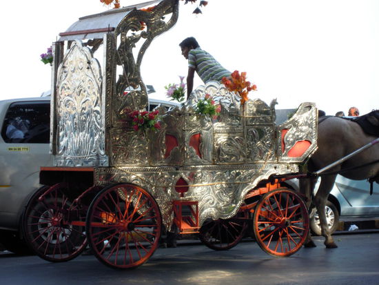 ...über die prächtigen Touristenkutschen staunen...