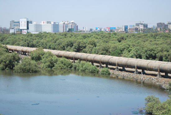 Im Film waren die Pipelines noch komplett zugemüllt, aber die Stadt Mumbai hat nach dem Film angefangen, aufzuräumen. Auf Kosten der Leute natürlich.