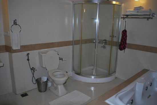 Schöner Kotzen in Cochin...