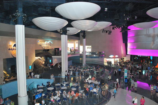 Gigantisches Georgia Aquarium - angeblich das grösste der Welt