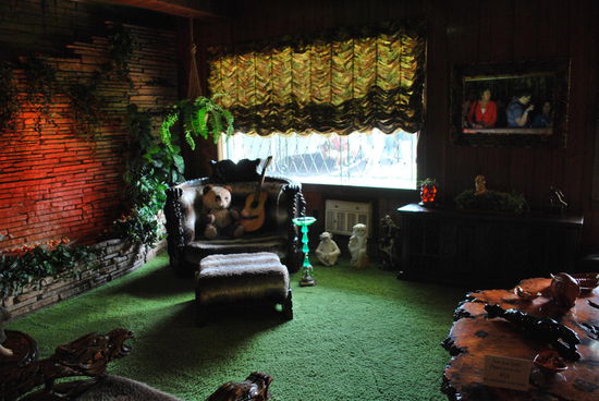 Ja, es wird abgefahrener: Dies ist das Dschungelzimmer mit Kunstrasen als Auslegeware