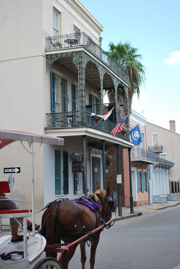 vor dem Pferd eines der ältesten Gebäude des french quarters