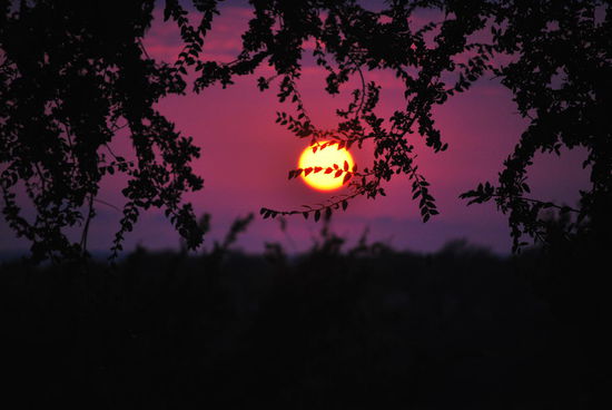 Texanischer Sonnenuntergang