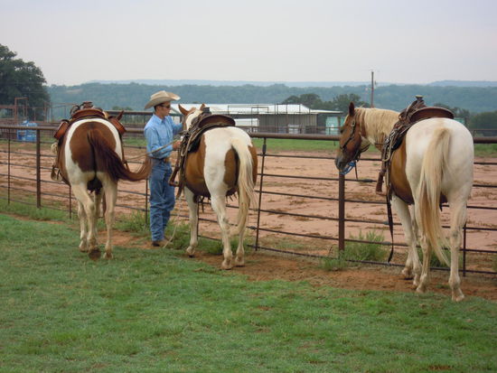 So stellt man sich Texas vor, oder ?