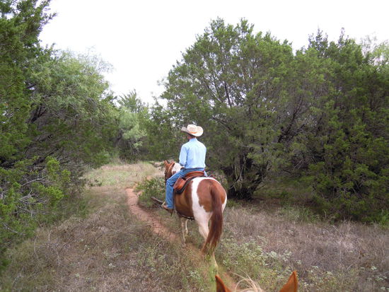 Wir schreiten die allermeiste Zeit nur gemächlich vor uns hin, unterhalten uns sehr nett über all die Dinge, die ich wissen möchte, als da wären die Themen Klapperschlangen, Koyoten, Ranchgröße, Longhorns, Öl und Erdgas, Taranteln und was treibt der ewig im Gebüsch kläffende Irokesen-Hund, der uns begleitet, eigentlich so ?