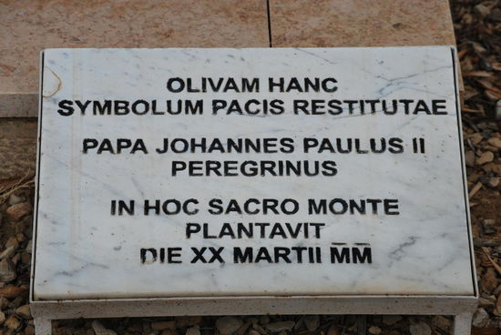 Ich übersetze hier mal frei und dieses Mal weiss ich, was ich tue ! "Als Symbol des ewigen Friedens hat Pilger Johannes Paul II. diesen Olivenhain auf diesem heiligen Hügel gepflanzt im März 2000"