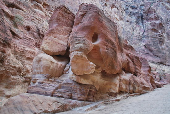 Von vorn wie ein Elefant, von der Seite wie ein Wal...