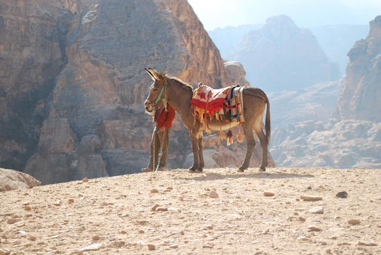 Michael Jackson ist gut drauf und mir stehen noch ein paar wenige Meter bevor...