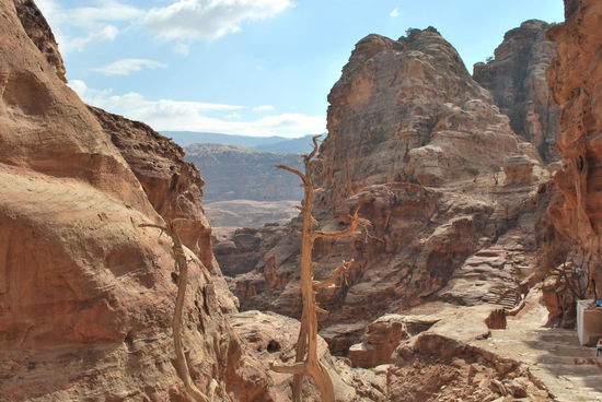 Jetzt kommen mir einige Leute entgegen, die zufuss hierher unterwegs sind über die 850 Stufen. Viele pfeifen auf dem letzten Loch, jappsen nach Luft und stossen keuchend die Frage hervor "how far is it ?" Ich motiviere die Leute "just 5 more minutes and it´s worth it !" Kann ich ja auch total cool sagen, denn ich habe mir diesen Gewaltmarsch ja erspart...