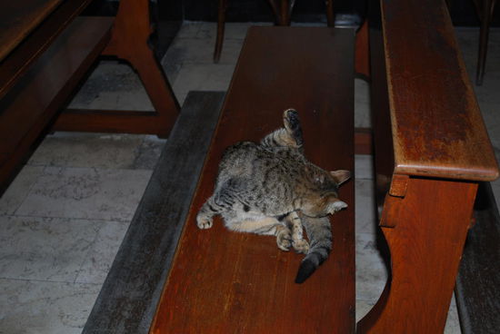 ...offenbar interessant wegen der Katze auf der Kirchenbank, die so aussieht, wie mein Katzi und die einzige Besucherin ist, heute.