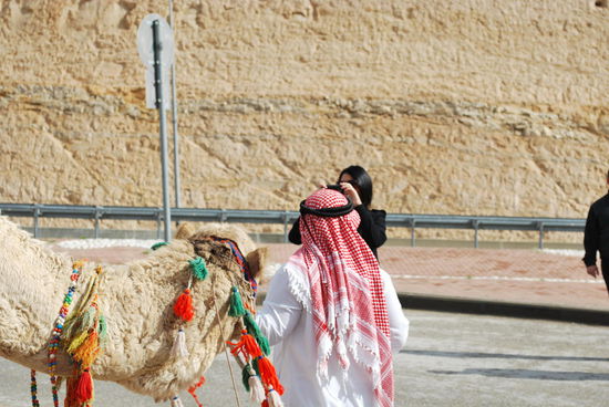 Foto mit Kamel + einmal für 3 Minuten aufsitzen ??? 20 NIS ! = 4 EUR - nee, brauche ich echt nicht. Schnelles Foto gelingt trotzdem...