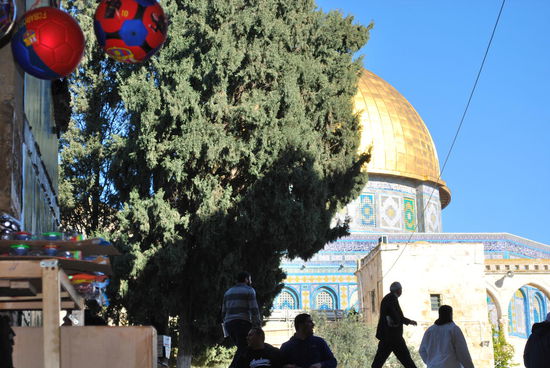 Warum nur steht der blöde Baum da ? Und warum muss man Bälle 20 m vor einem Heiligtum aufhängen ? Naja, ich hab´s versucht - mehr geht eben momentan einfach nicht.