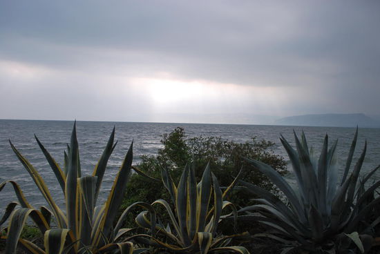 Sea of Galilee - See Genezareth vor Aloe-Pflanzen