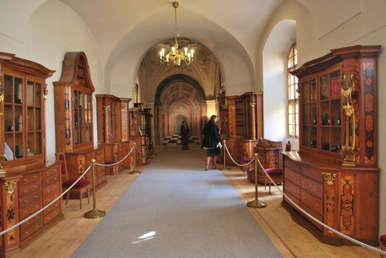 Skurrile Ausstellungsstücke in den Nussbaumvitrinen