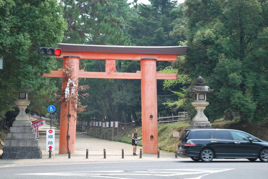 Beginn der endlosen Allee zum Kasuga-Taisha Schrein