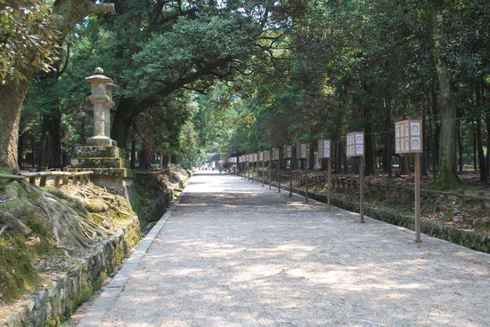 der Weg scheint kein Ende zu nehmen...