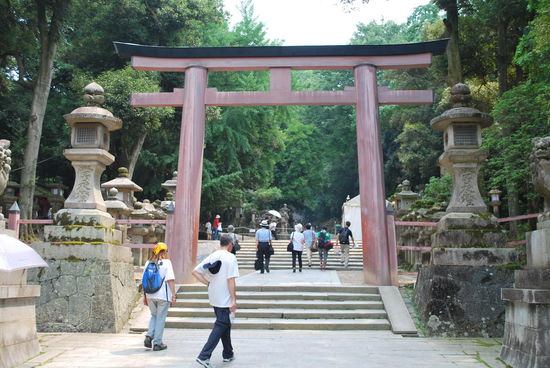 Ah, ein Torii ! Ich muss endlich angekommen sein ! Nein, um die Ecke und noch mal weiter. Im Nara-Park stehen auf allen Hinweisschildern auch die jeweiligen Entfernungen bis zum Ziel aufgedruckt, angegeben im metrischen System. 1,6 KM sind mir jedoch nie so endlos weit vorgekommen, wie hier.