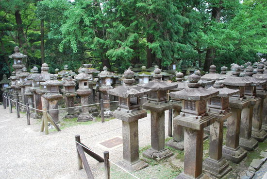 Die Laternenfülle ist allerdings beeindruckend...