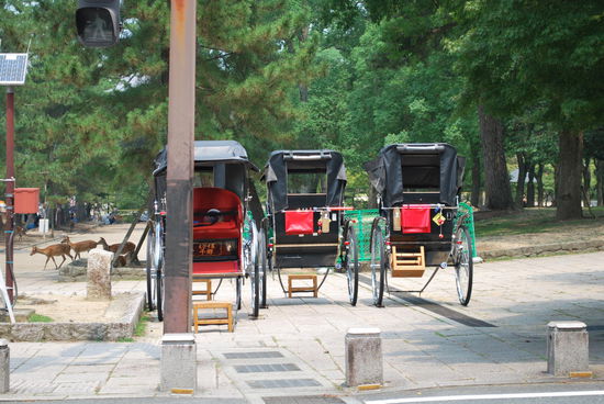 Sollte ich mal ´ne Rikscha mieten ? Nö, gehbehindert bin ich nicht, es ist einfach nur so heiß !