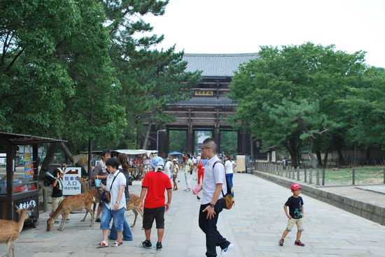 Die Gasse, die zum Todaji-Tempel führt, ist gut bestückt mit Ständen, an denen man Souvenirs und Erfrischungen kaufen kann
