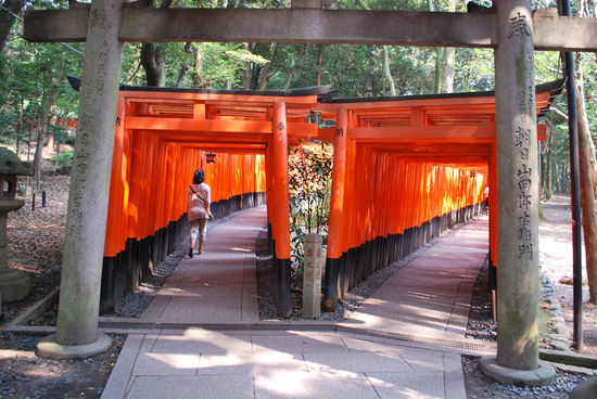 Hier gabelt sich mal der Torii-Tunnel