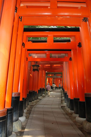 und dann geht´s so richtig los...