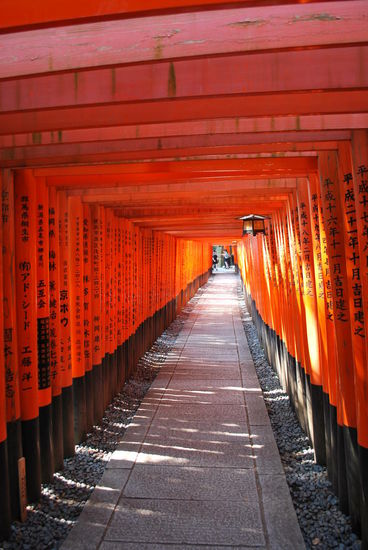 Dicht an dicht, ohne Ende...