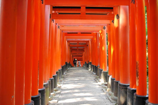 Unterwegs fressen mich hier die Mücken auf