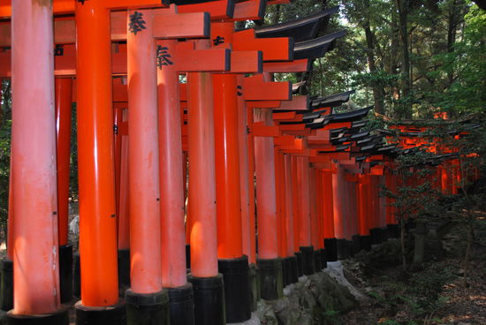 Mal von der Seite aus dem Wald gesehen