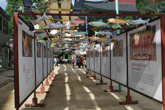 glückbringende Fischlaternen