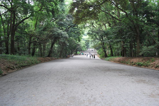 Auch das ist mitten in Tokio ! Wald, und nicht nur Bäume. Sondern auch Quellen, kleine Rinnsale, Miniwasserfälle und STILLE ! Dabei verlaufen die Bahnschienen keine 300 m entfernt.